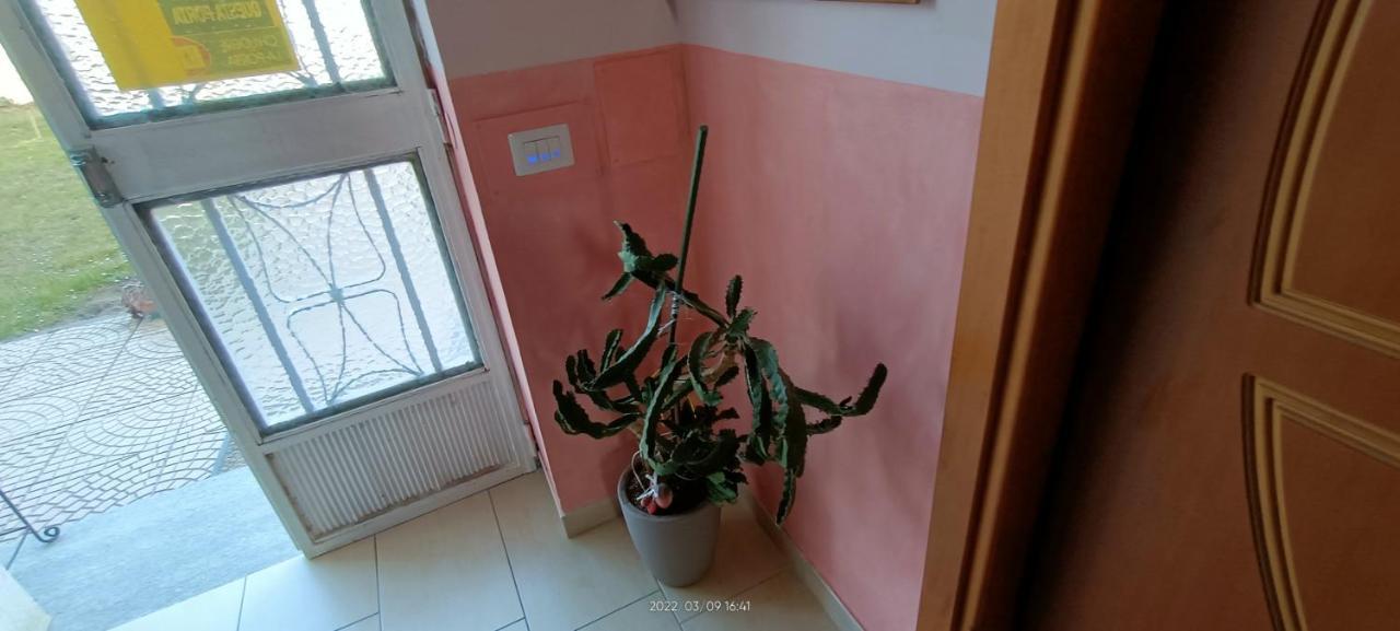 La Magnolia B&B Gassino Torinese Экстерьер фото
