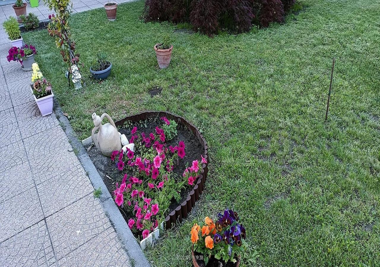 La Magnolia B&B Gassino Torinese Экстерьер фото