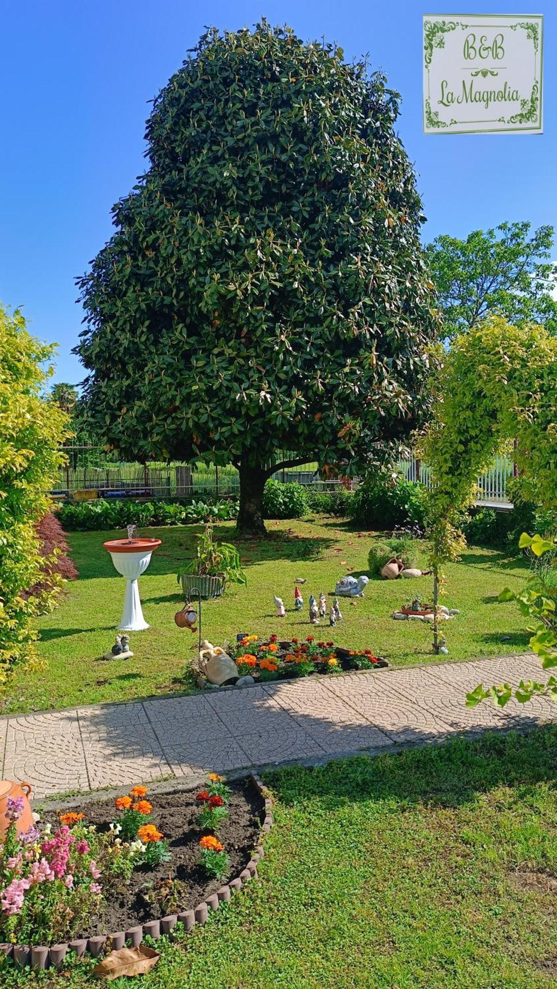 La Magnolia B&B Gassino Torinese Экстерьер фото