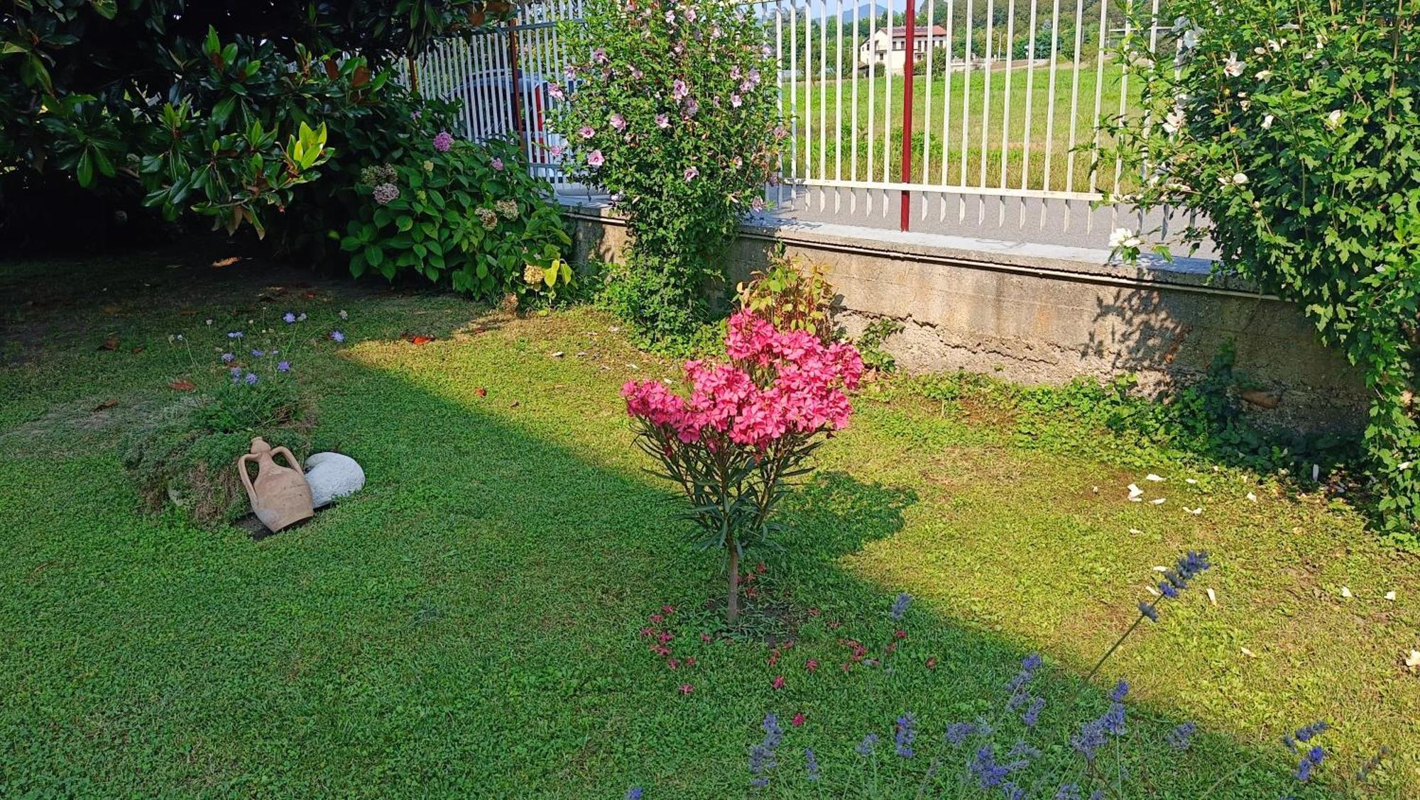 La Magnolia B&B Gassino Torinese Экстерьер фото